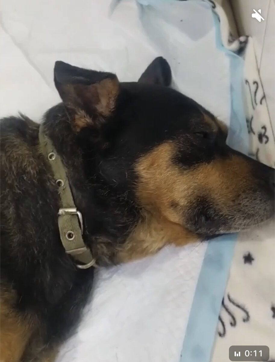 Гера неделю после операции на позвоночник 