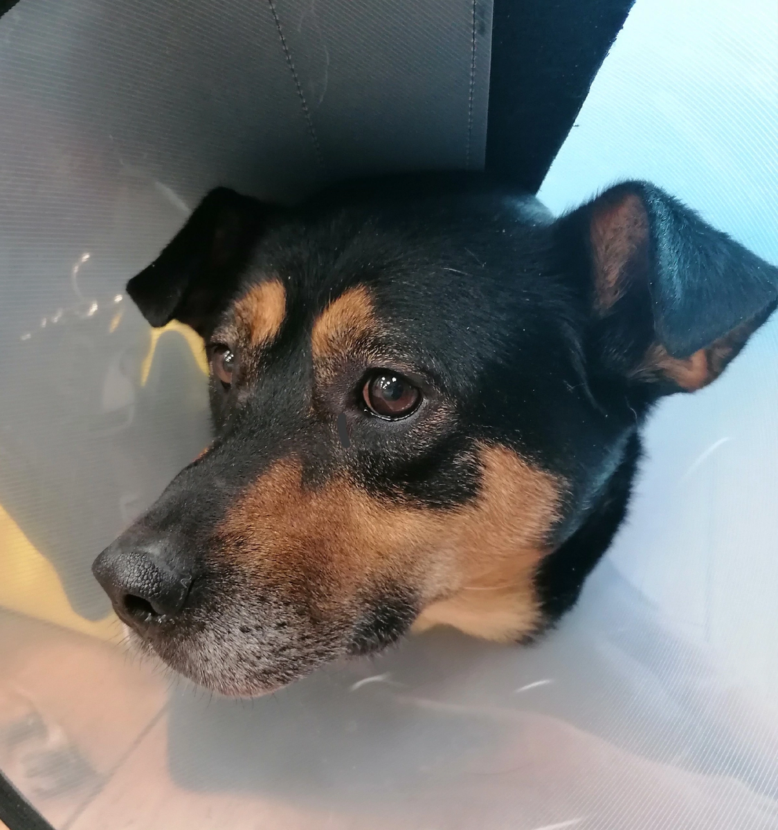 Навещали Геру в клинике