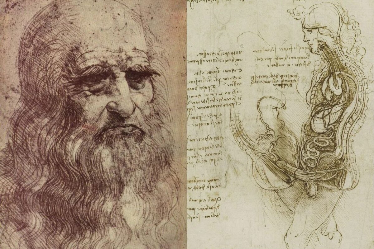 Леонардо да винчи. Атлантический кодекс леонардо да винчи книга. Отец леонардо да винчи. Лестерский кодекс леонардо да винчи. Леонардо да винчи годы жизни.