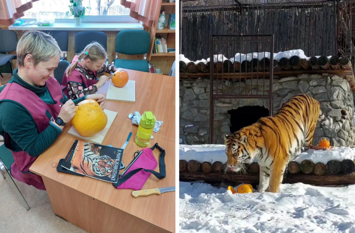    Хабаровчане вырезали поделки из тыкв для животных зоосада «Приамурский»