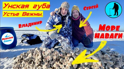 ✅РЫБАЛКА НА НАВАГУ l УНСКАЯ ГУБА l ВЕЖМА🎣🐟🐟🐟 #рыболов_севера #навага #корюх