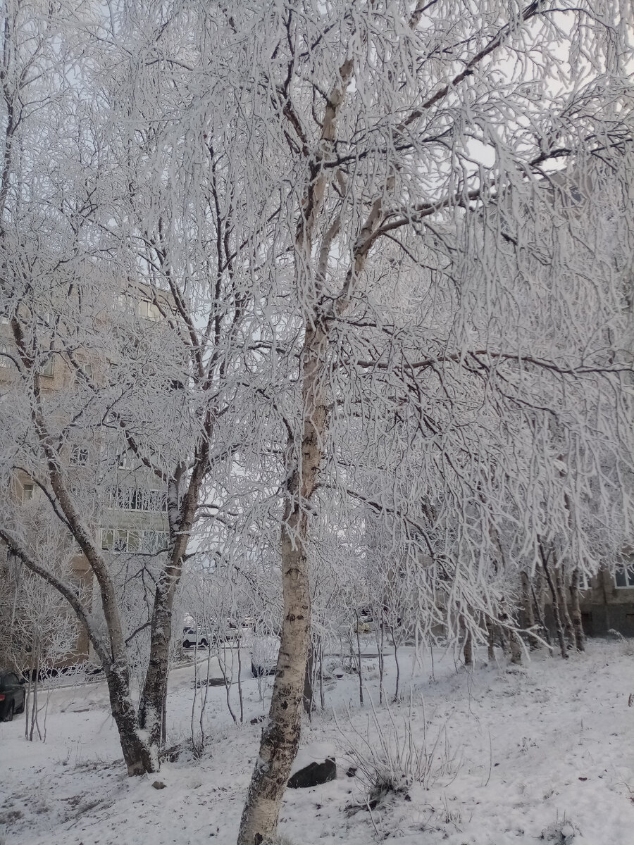 А вот снежка еще маловато, из-за этого морозец ощущается сильнее. 