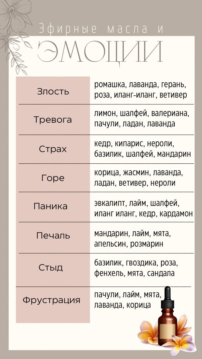 Здоровый сон как правильно организовать режим и создать комфортную атмосферу  в спальне | ЗДОРОВЬЯ РАДИ | Дзен