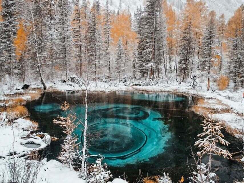  фото из свободных источников