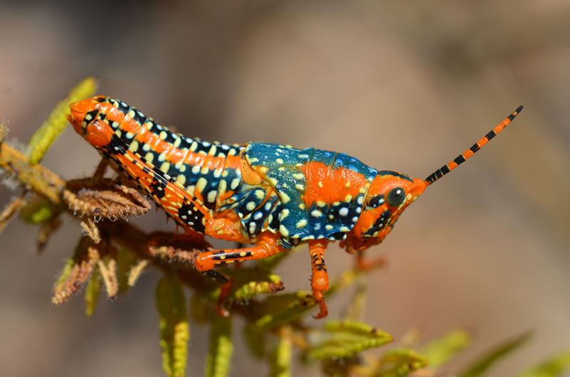 фото из свободных источников в Интернете