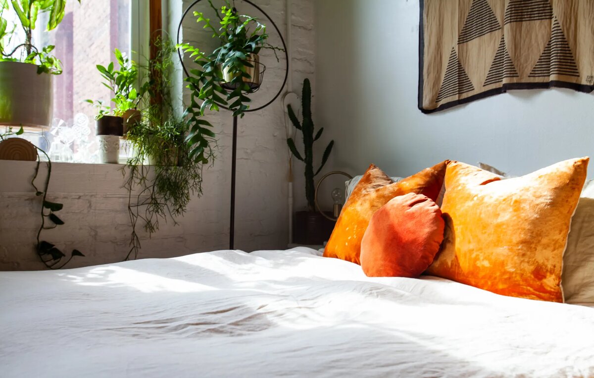 «Нас часто спрашивают, как относится наша кошка и растениям. К счастью, Мэйбл не интересуются растениями и вообще не пакостит», — рассказывает Габриэль