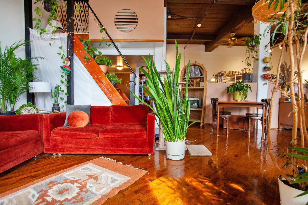 «Нас часто спрашивают, как относится наша кошка и растениям. К счастью, Мэйбл не интересуются растениями и вообще не пакостит», — рассказывает Габриэль