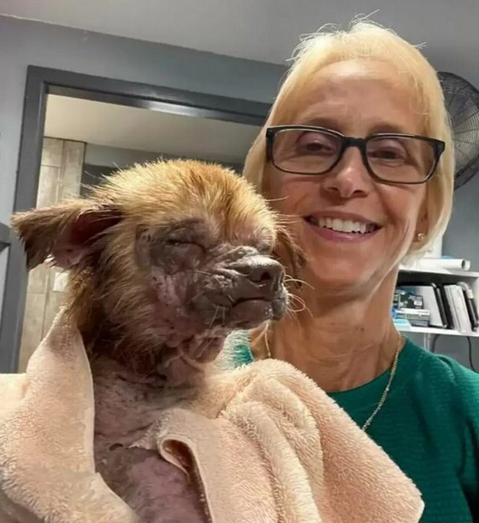 Сарра Уолтон опекала несчастную собаку всеми силами