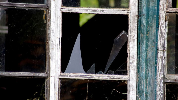 ELENA MAYOROVA/GLOBALLOOKPRESS 