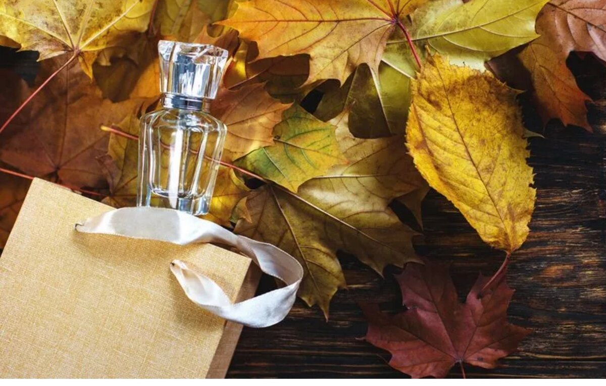 Фото из интернета 