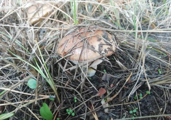 Фото Д.Врублевского