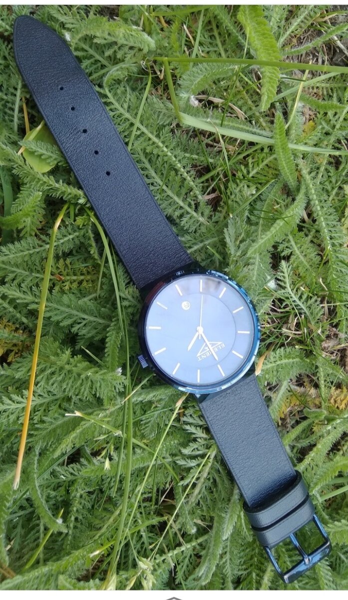 Фотографии автора 