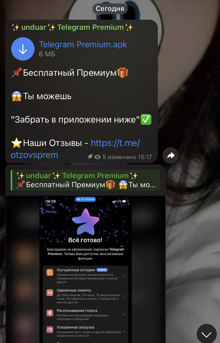 Получаем Telegram Premium на халяву! | Арсений Барыгов | Дзен