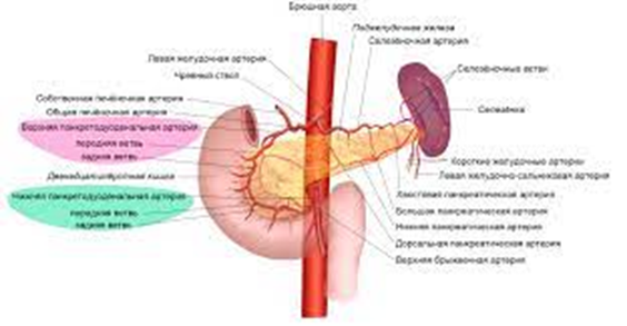 Диагностика и лечение патологий поджелудочной железы (Александров)