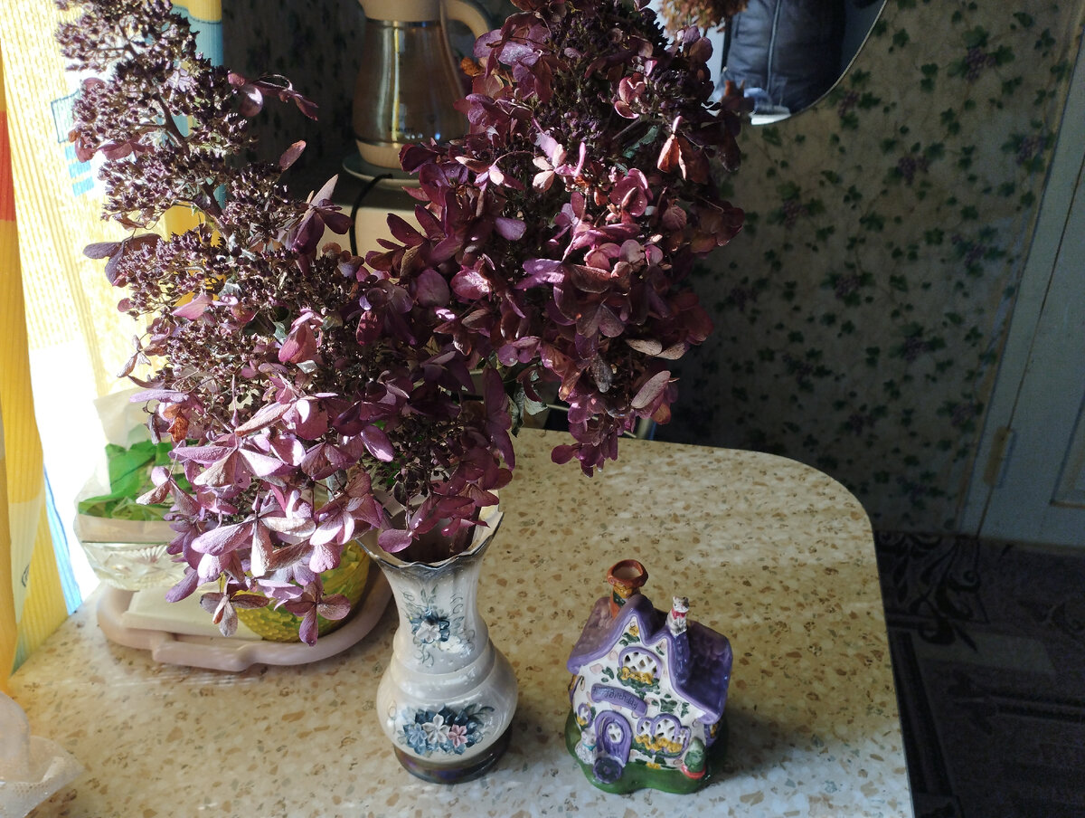 Мои дачные фото