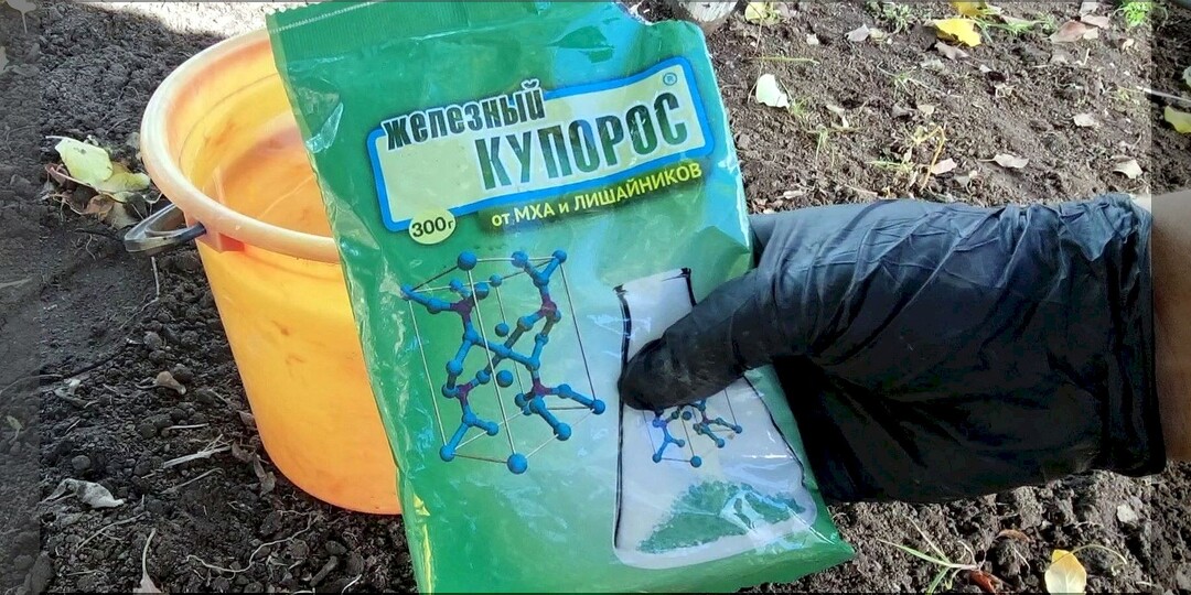 Чем заняться на даче в ноябре: шпаргалка дачнику на ноябрь — важные садово-огородные дела актуальные на любом участке