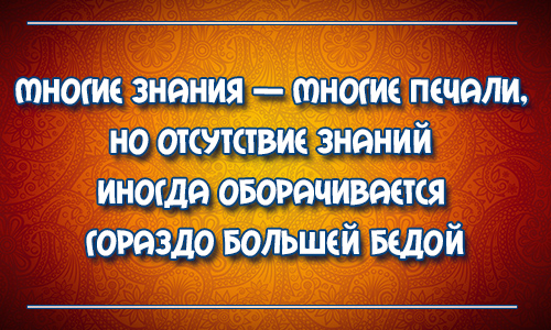 Многие знания много печали. Больше знаний больше печали. Познание преумножает скорбь. Лишних знаний не бывает. Знание преумножает печаль.