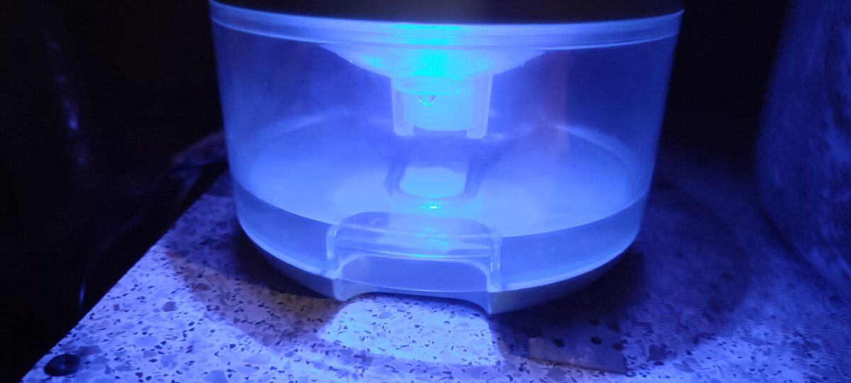 На фото видно сколько он собрал воды. 