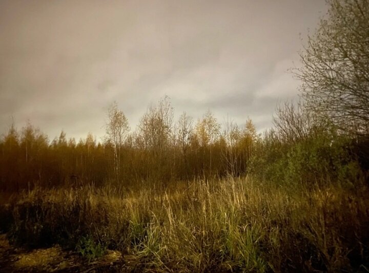 Фото со стены ВКонтакте . 