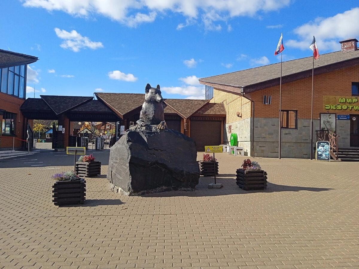 Фотография сделана мной. Ижевск - зоопарк. 