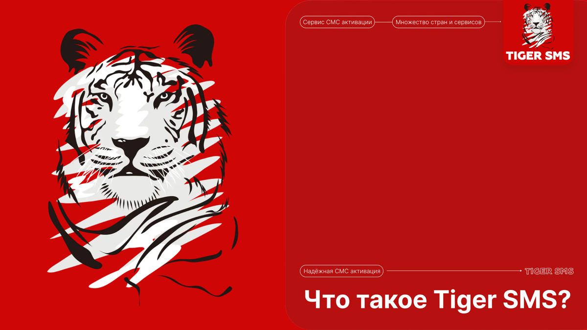 Tiger SMS: Ваш надежный партнер для безопасной верификации и анонимных  регистраций | TIGER SMS | Дзен