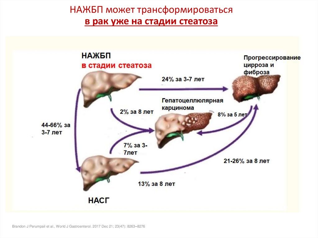 Картинки Яндекс 