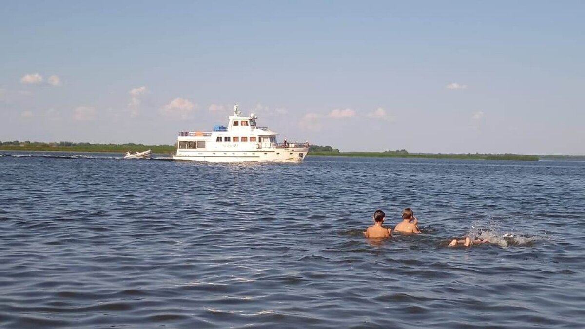    В Саратовской области изменят сроки нерестового запрета на ВолгеНовости Саратова и области – Сетевое издание «Репортер64»