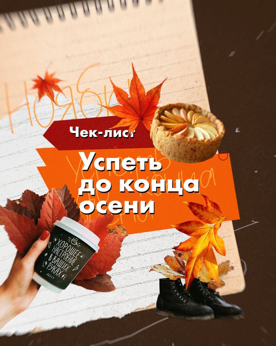 Успеть до конца осени. Чем заняться в ноябре? | Пошли, пройдемся! | Дзен