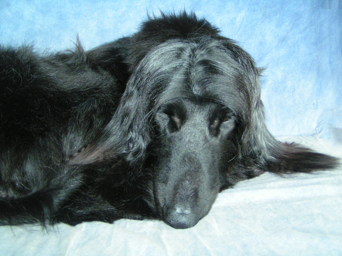 Сон приносит силы.