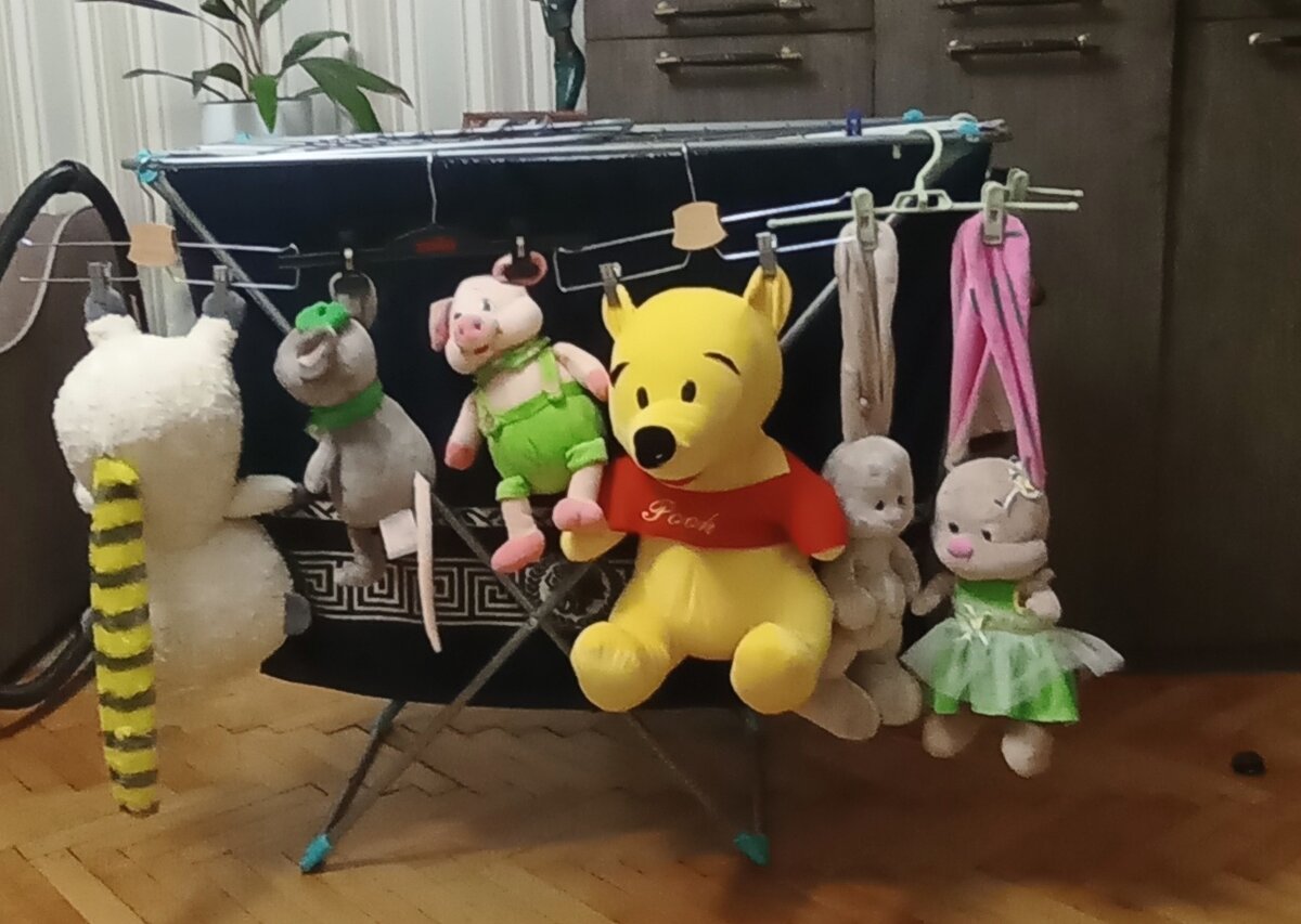 Это ещё не весь личный состав домашних питомцев))) вторая половина с обратной стороны сушилки обретается))) Фото автора.