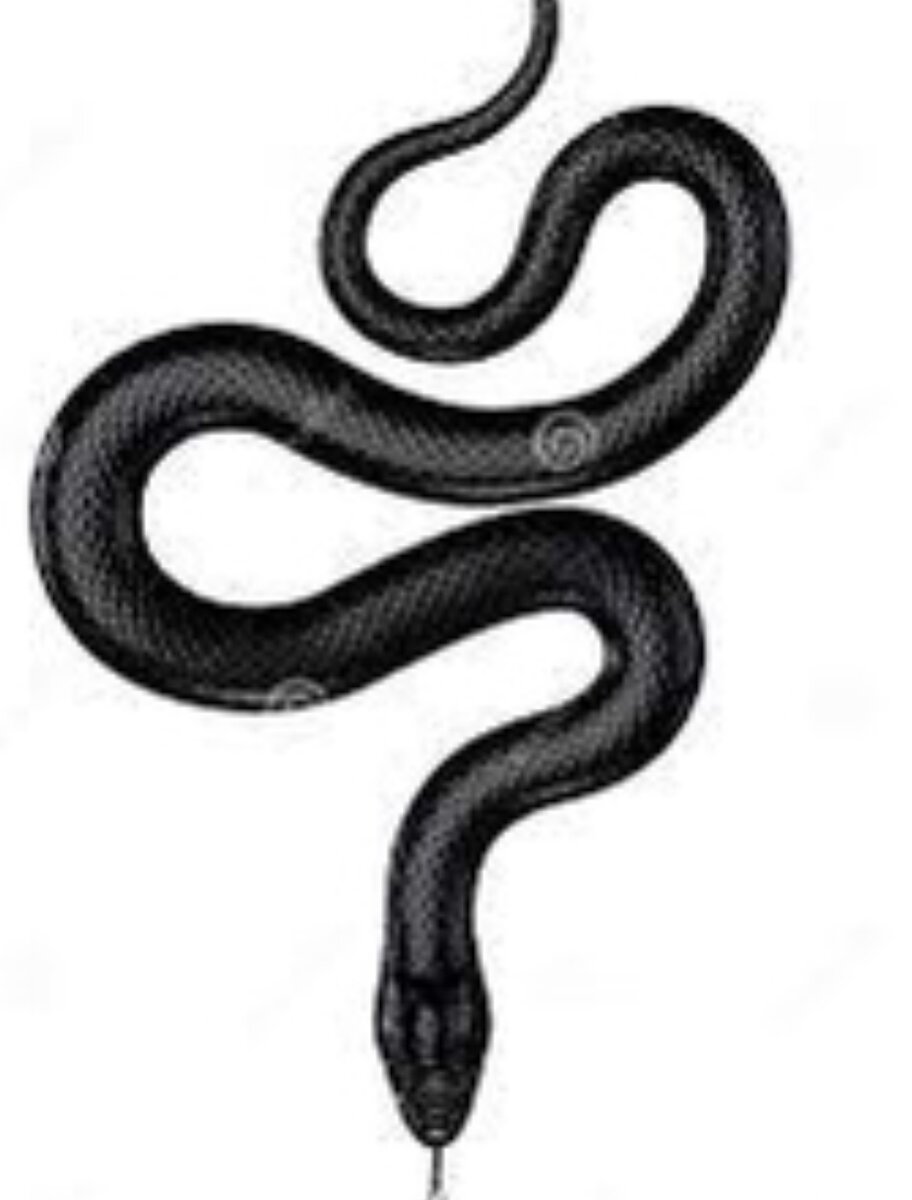 из свободных источников