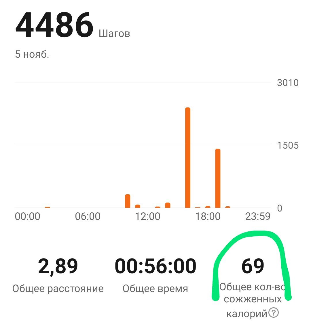 69 калорий сгорели