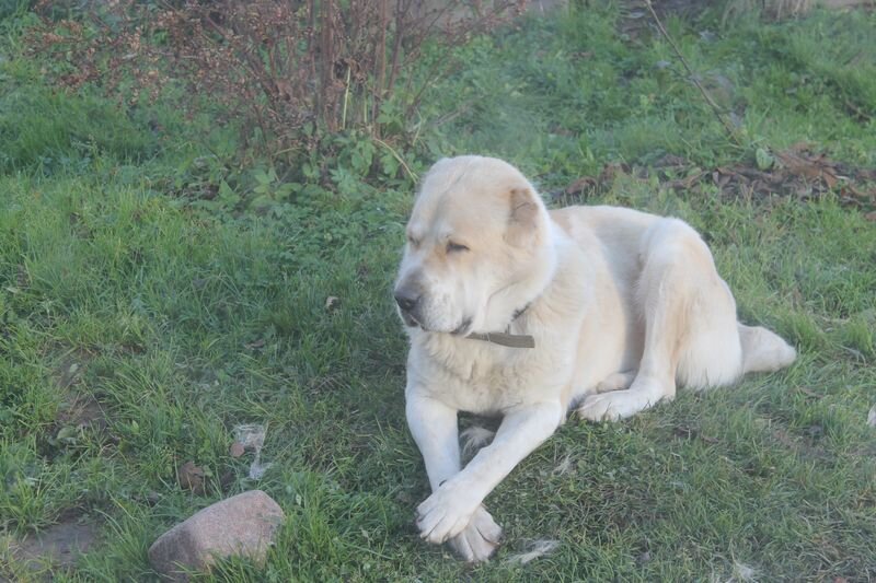 вообще не понимаю о чем речь!