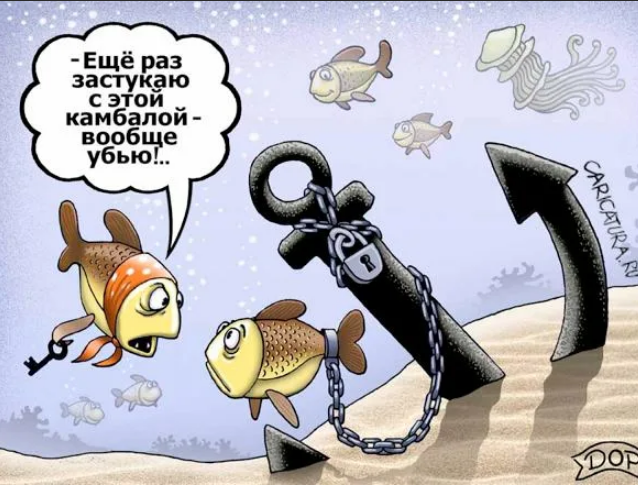 Ревность рыб. Ревность рыб. Аквариум прикол. Рыбки для аквариума. Арабская мудрость.