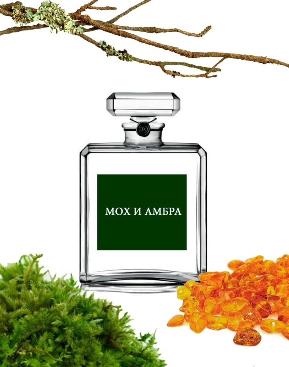 Представьте себе теплый осенний день: лес, прогретый лучами солнца, и шуршащие листья под ногами. Аромат "Мох и янтарь" создаст это настоение. Сочный грейпфрут и сладкий сицилийских апельсин подарят невероятную свежесть. Морская соль в сочетании с лавандой и шалфеем окунают нас в прохладу , как первый осенний ветерок. Бобы тонка и дубовый мох добавят терпкие древесные ноты, которые так ощущаются в лесу. Уютный аромат, вдохновляющий на размышления. 
Верхние ноты: грейпфрут, сицилийский апельсин, шалфей
Сердце: лаванда, морская соль
Базовые ноты: бобы тонка, амбра, дубовый мох
