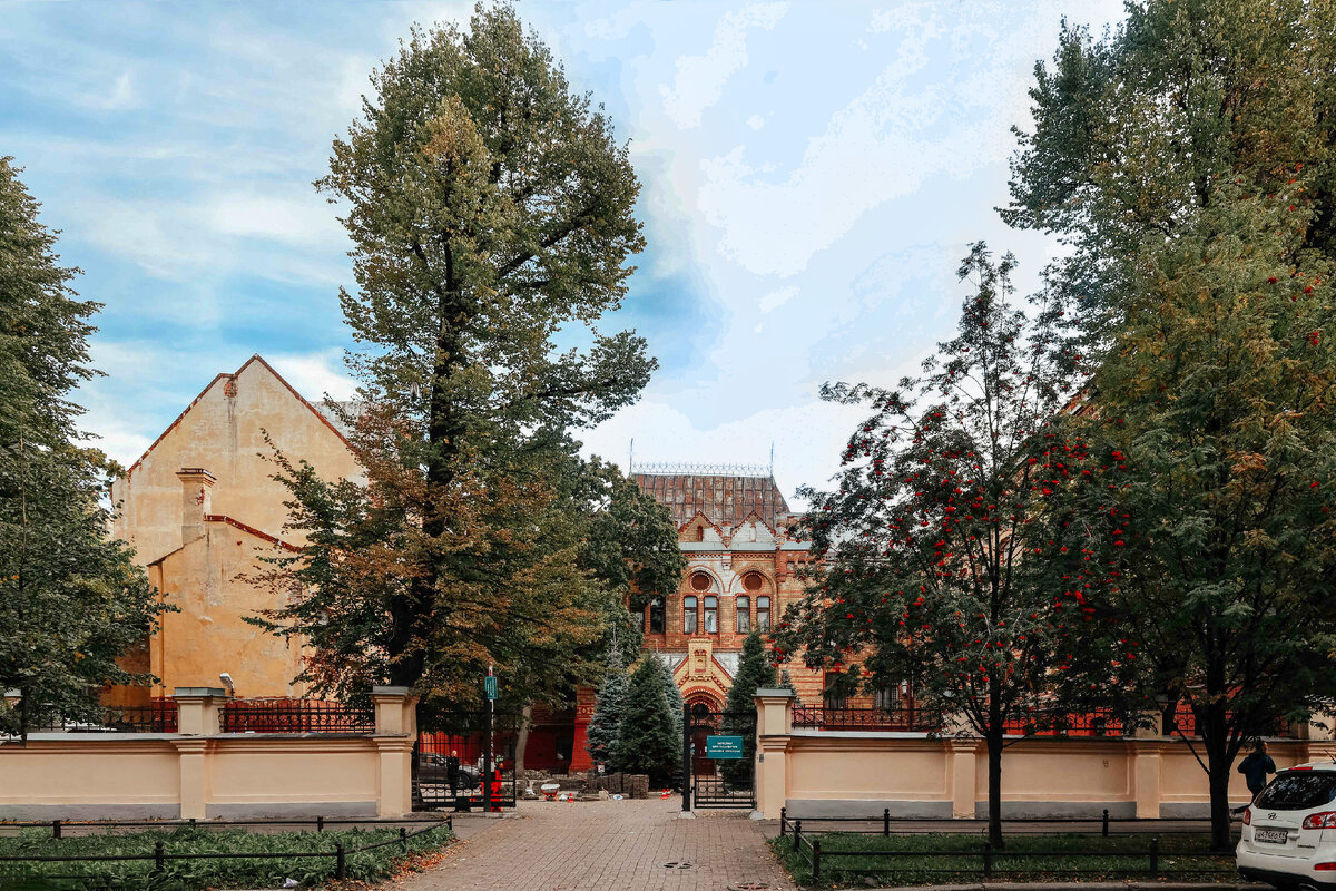 Санкт-Петербург, клиника им. Пирогова, 2023 год