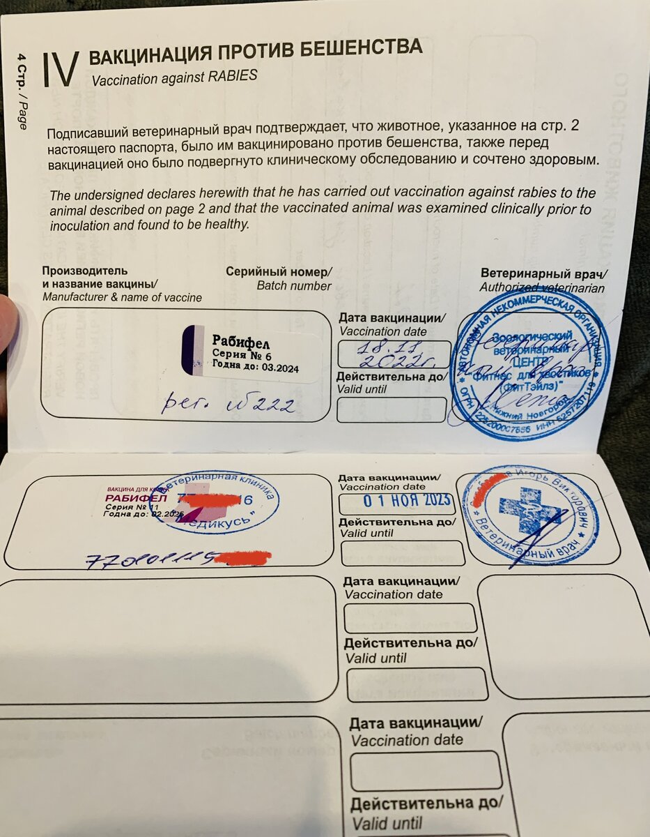 Личное фото. 