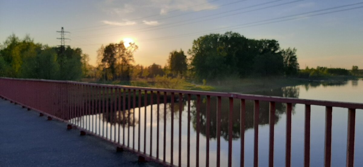 Фотография с летней прогулки.