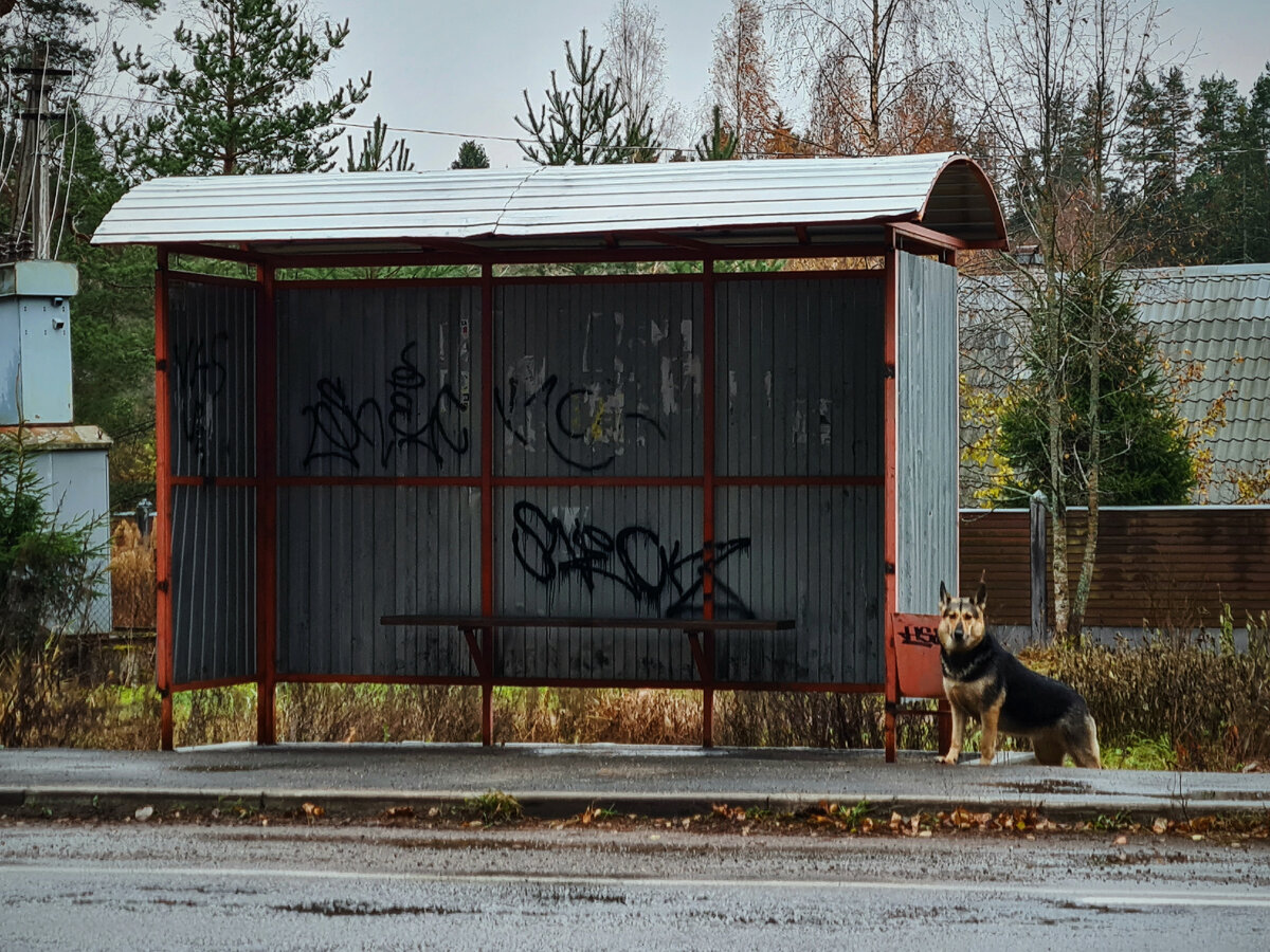 Фото: Парадная гостья