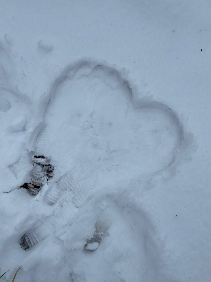 Растоптано 