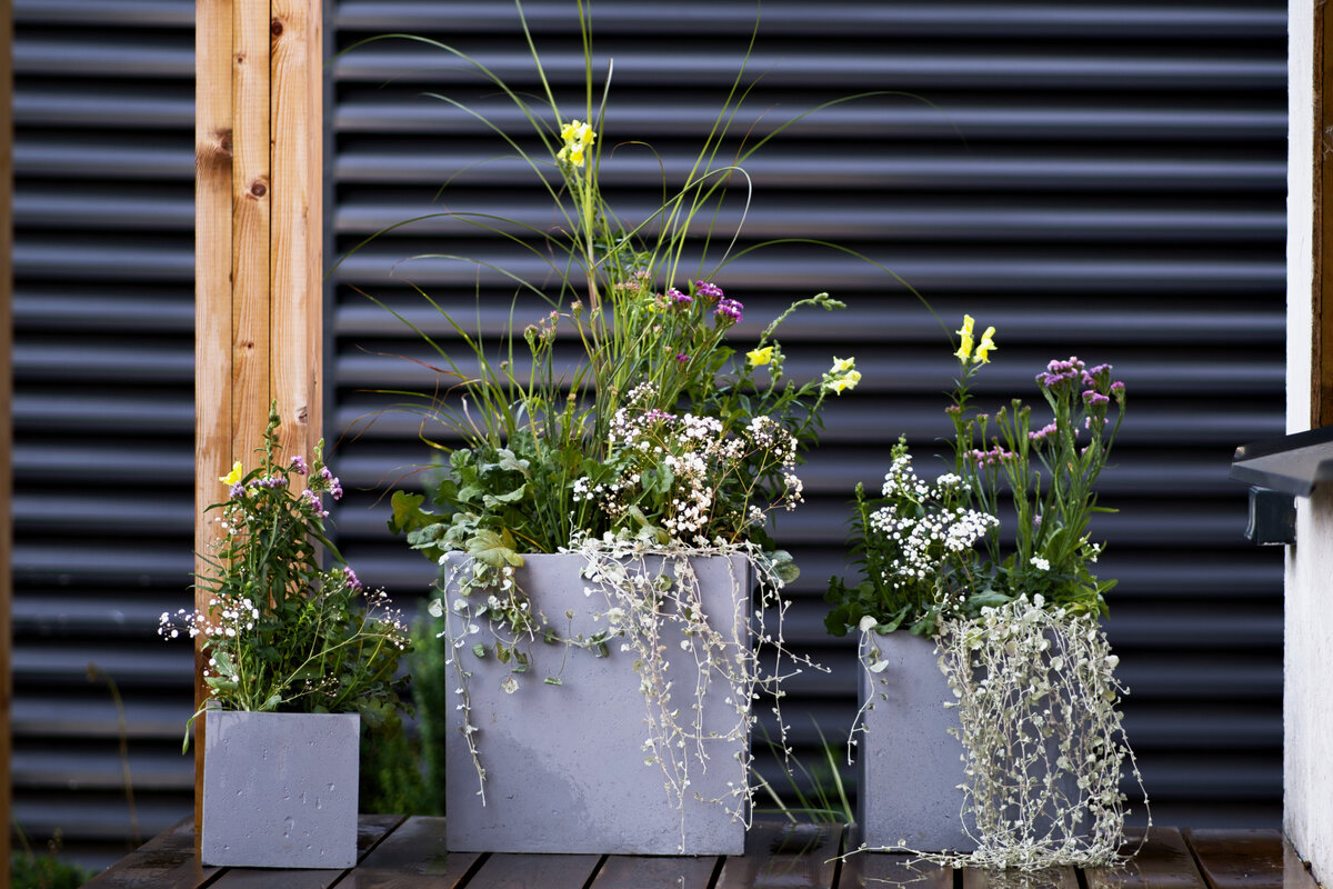 Красивая композиция в кашпо