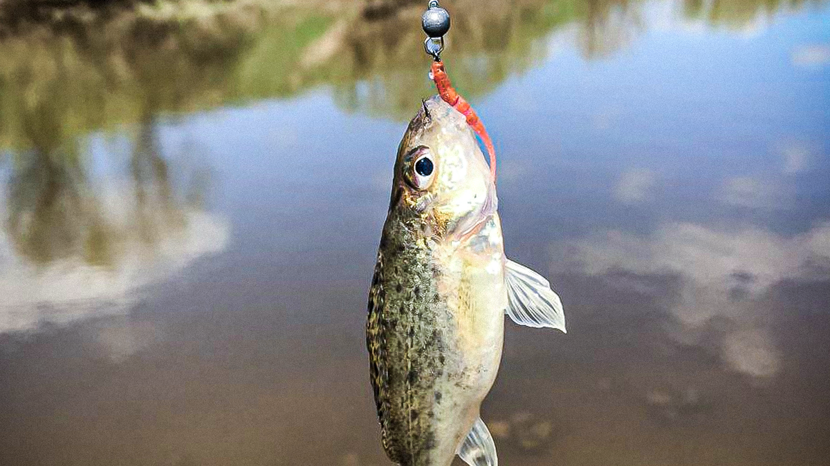 Ёрш ершович на микроджиг от Ловим тут