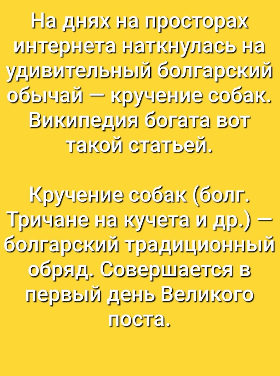 Ведьмёныш. Сон, который не сон. Про зимние покатушки, про изменившуюся  жизнь и про новое дело | Ведьмины подсказки. Мифы, фэнтези, мистика | Дзен