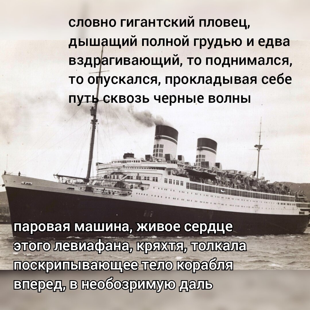 Стефан Цвейг "Амок"