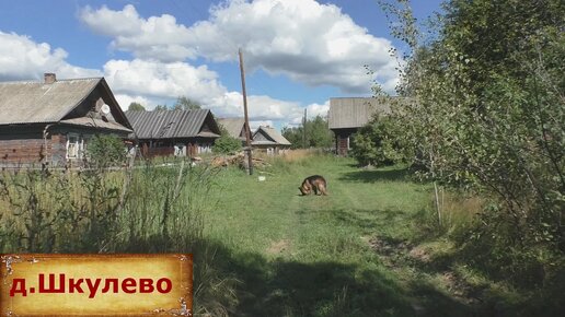 Порно видео русские девушки в деревне