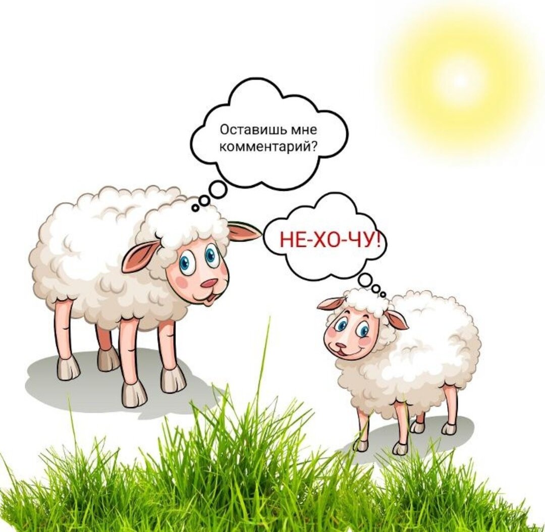 Милые ягнята, которые не молчат