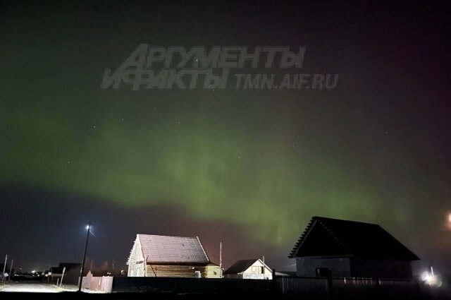    Фото: АиФ - Тюмень/ Сирень Бабаева