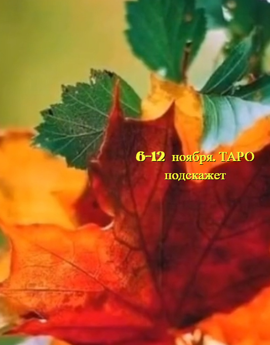 коллаж автора