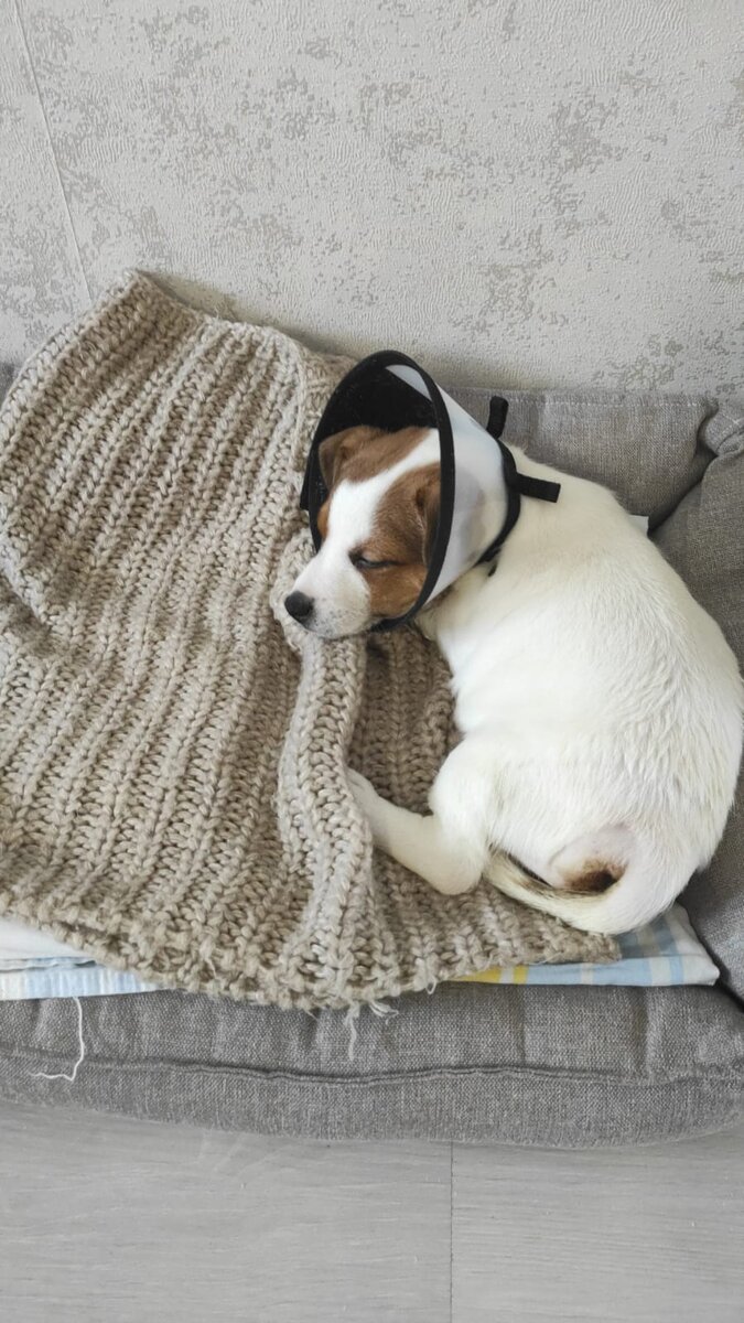 У будущих-бывших родителей