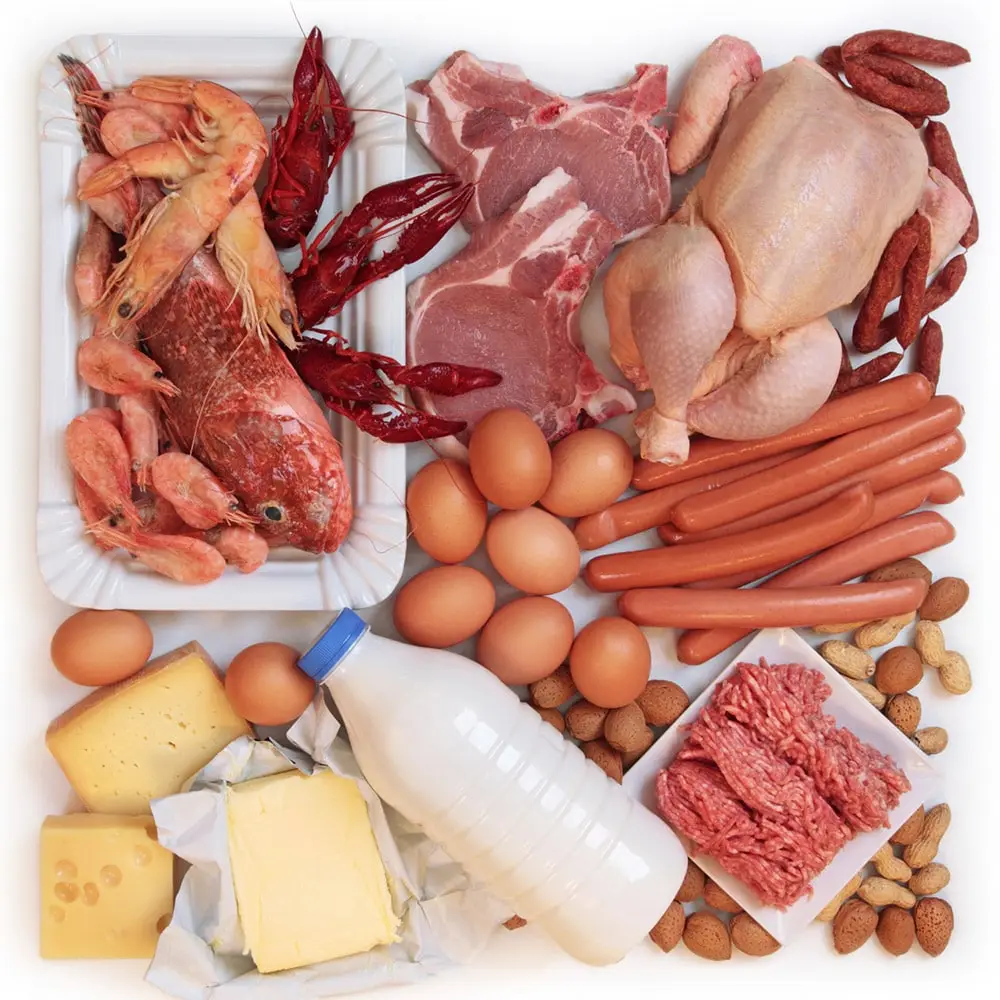Пищевая мяса птицы. Молочные и мясные продукты. Белковая пища. Продукты животного происхождения. Белки продукты.